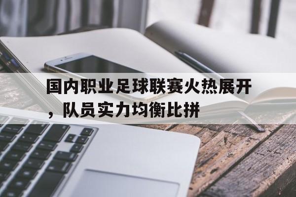 包含国内职业足球联赛火热展开,队员实力均衡比拼的词条 包含国内职业足球联赛火热展开,队员实力均衡比拼的词条